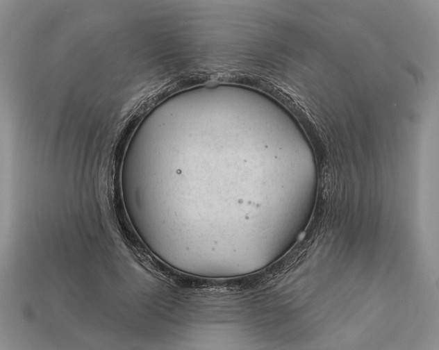 X0000112980740200909101714