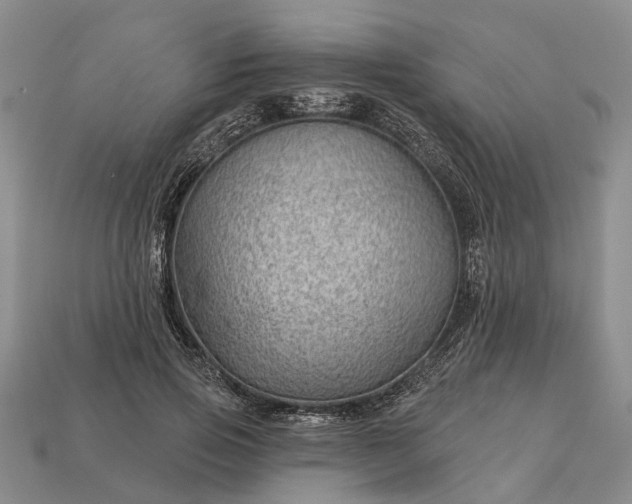 X0000112980741200909101714