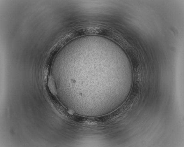 X0000112980742200909101714