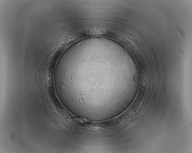 X0000112980743200909101714