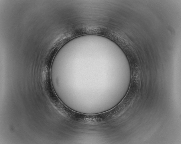 X0000112980744200909101714