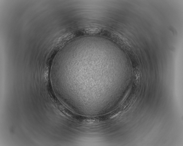 X0000112980745200909101714