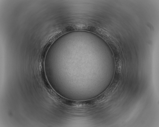 X0000112980746200909101714