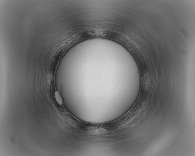 X0000112980747200909101714