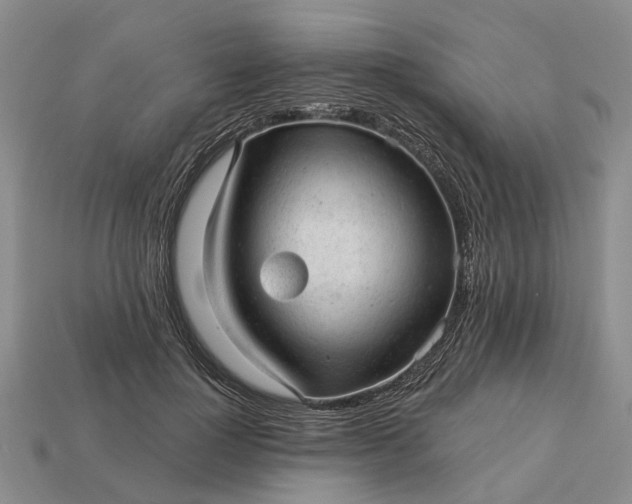 X0000112980748200909101714