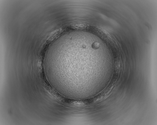 X0000112980749200909101714