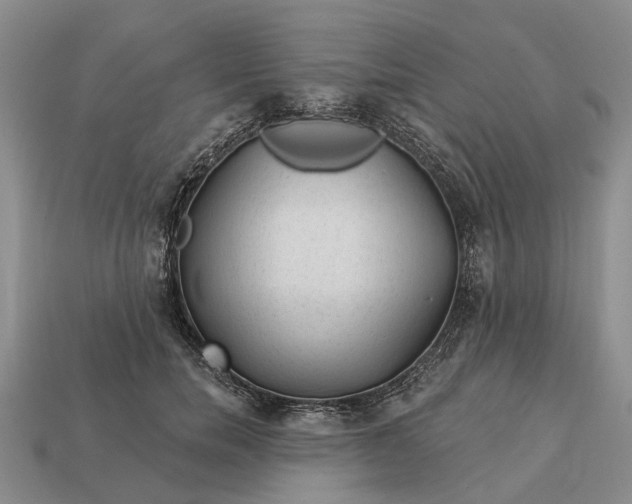 X0000112980750200909101714