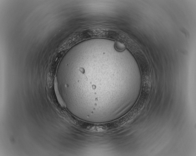 X0000112980751200909101714