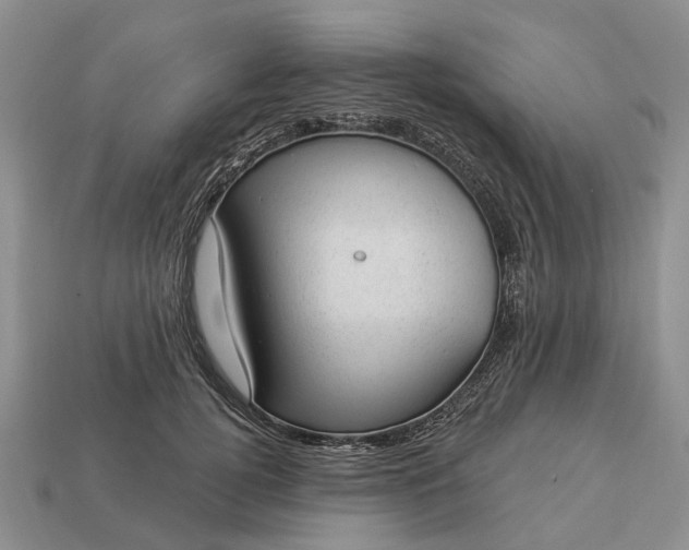 X0000112980752200909101714