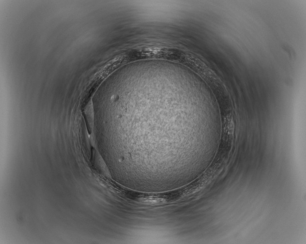 X0000112980754200909101714