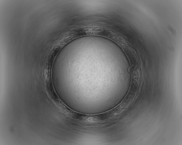 X0000112980755200909101714