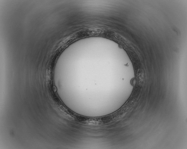 X0000112980756200909101714