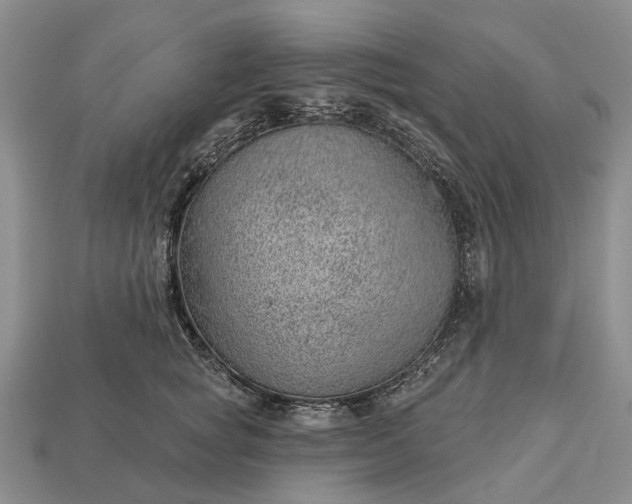 X0000112980757200909101714