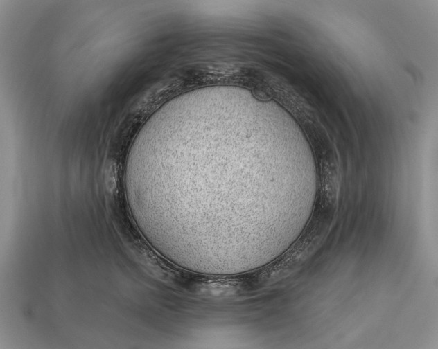 X0000112980758200909101714