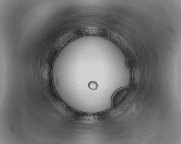 X0000112980760200909101714