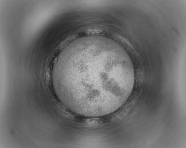 X0000112980761200909101714