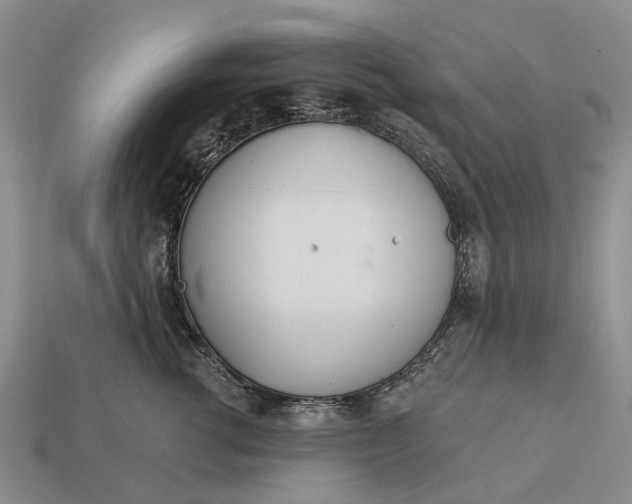 X0000112980762200909101714