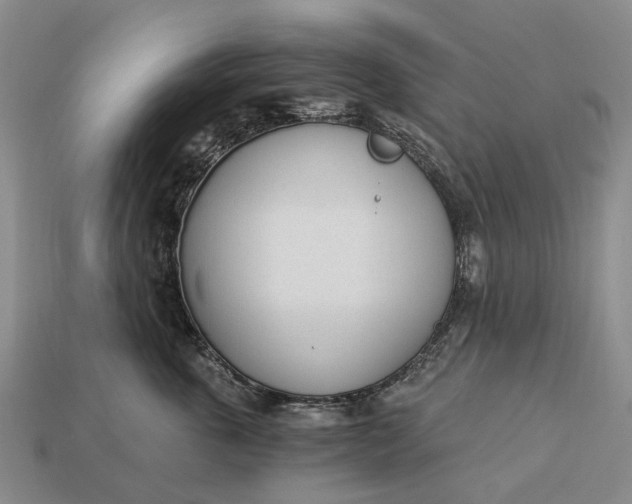 X0000112980763200909101714