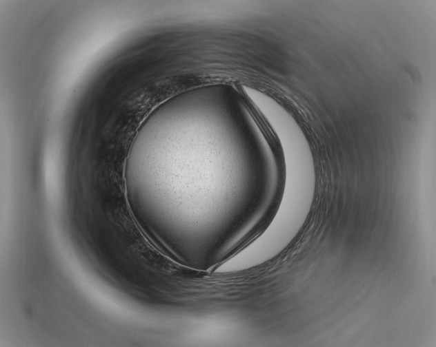 X0000112980764200909101714