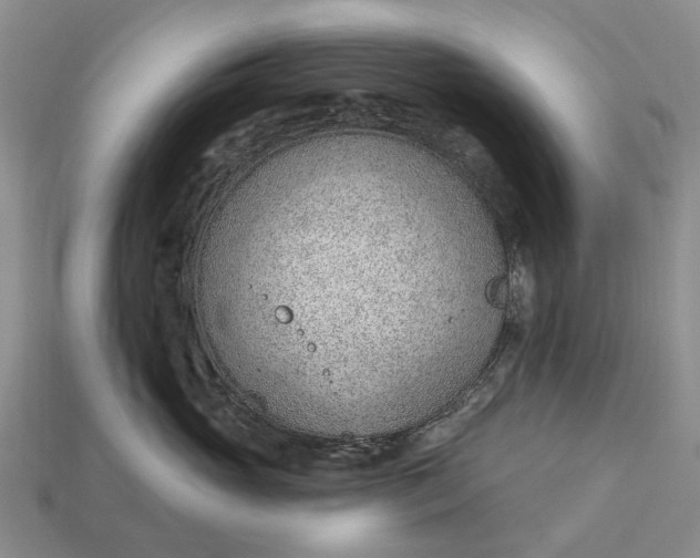 X0000112980765200909101714