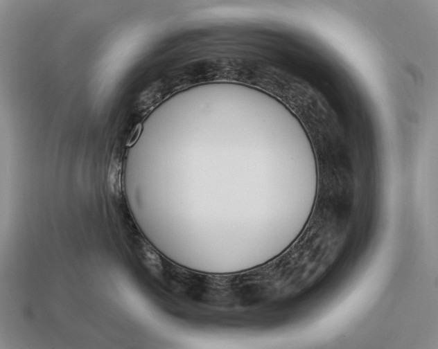 X0000112980766200909101714