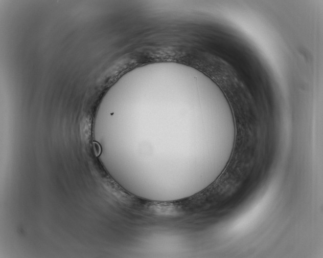 X0000112980767200909101714