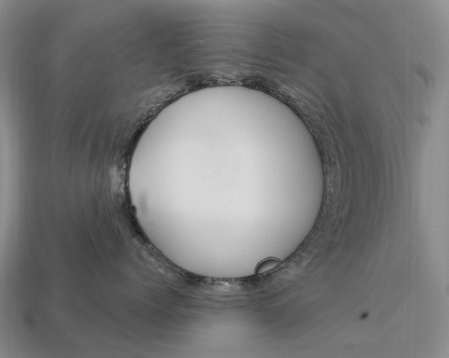 X0000112980768200909101714