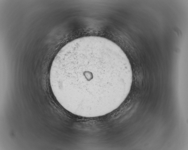 X0000112980769200909101713