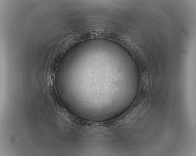 X0000112980770200909101713