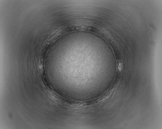 X0000112980771200909101713