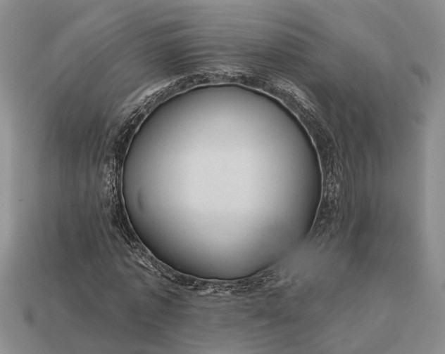 X0000112980773200909101713