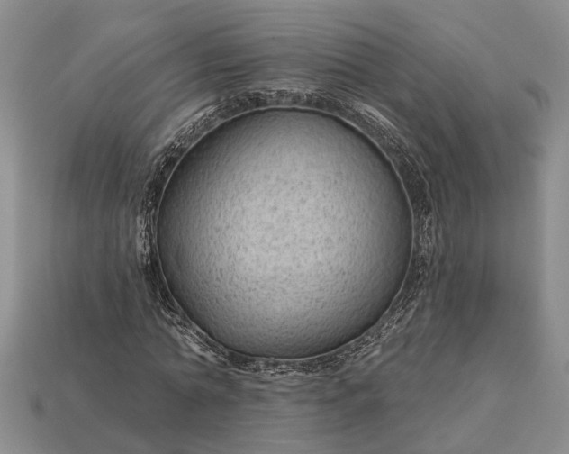 X0000112980774200909101713