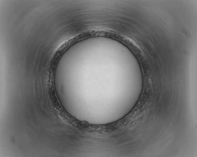 X0000112980775200909101713