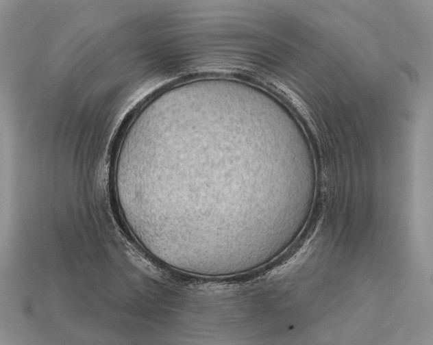 X0000112980779200909101713