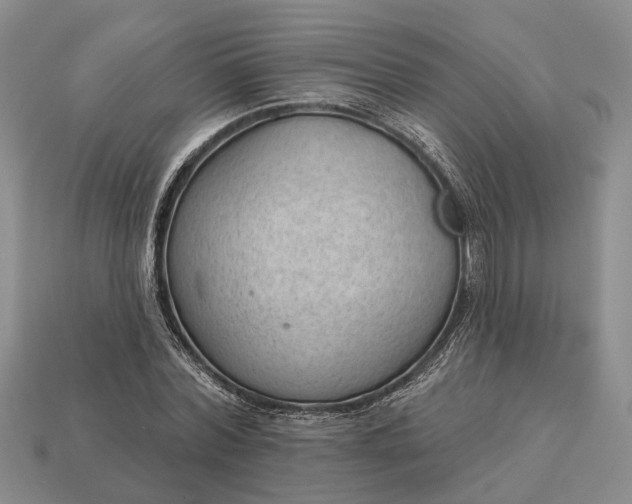 X0000112980780200909101713