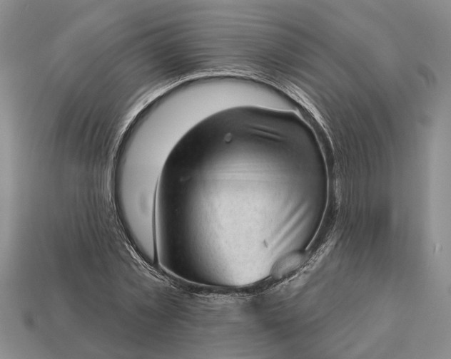 X0000112980781200909101713