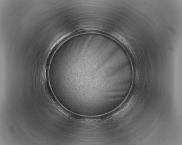 X0000112980782200909101713