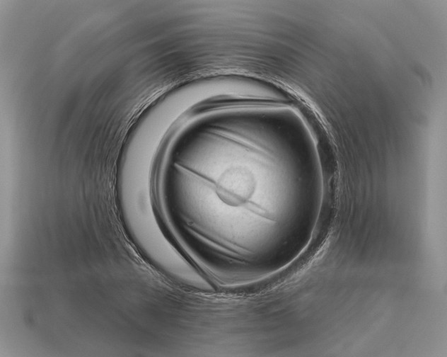 X0000112980785200909101713