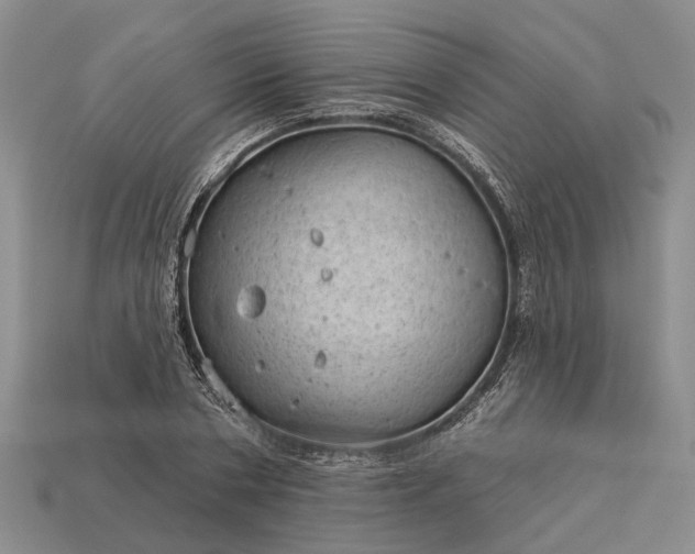 X0000112980786200909101713