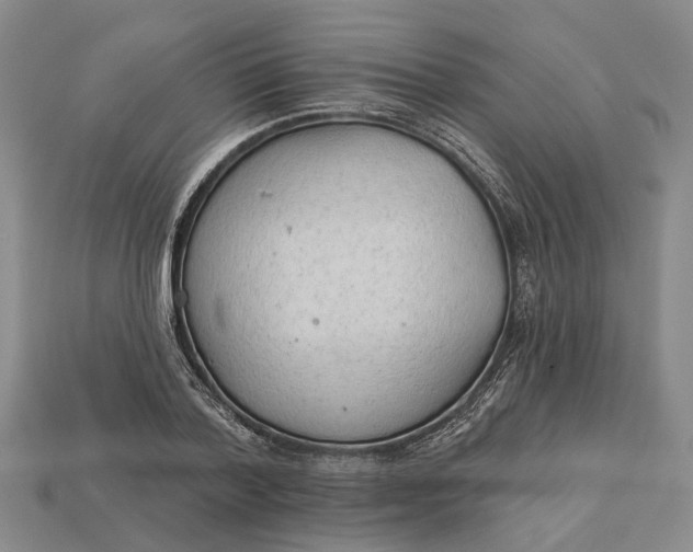 X0000112980788200909101713