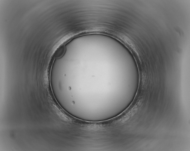 X0000112980789200909101713