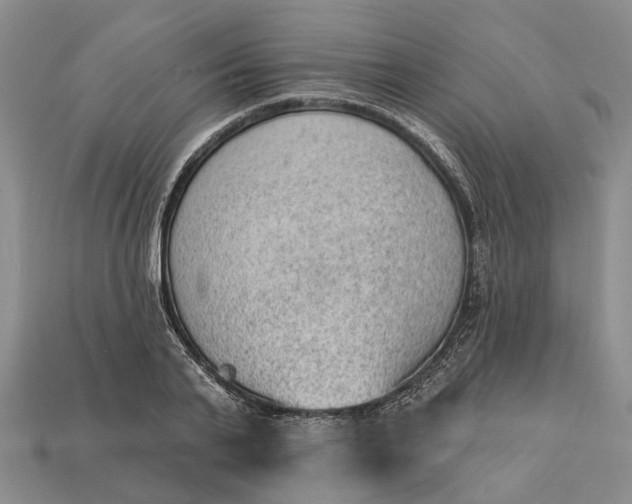 X0000112980791200909101713