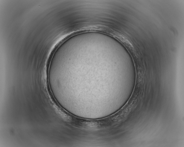 X0000112980792200909101713