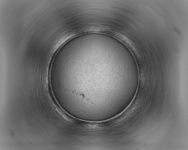 X0000112980794200909101713