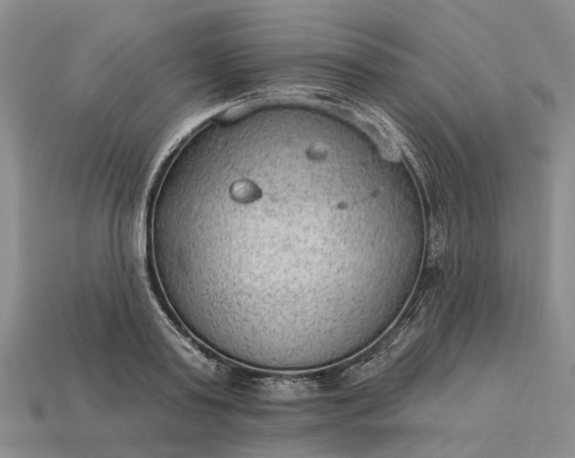 X0000112980795200909101713