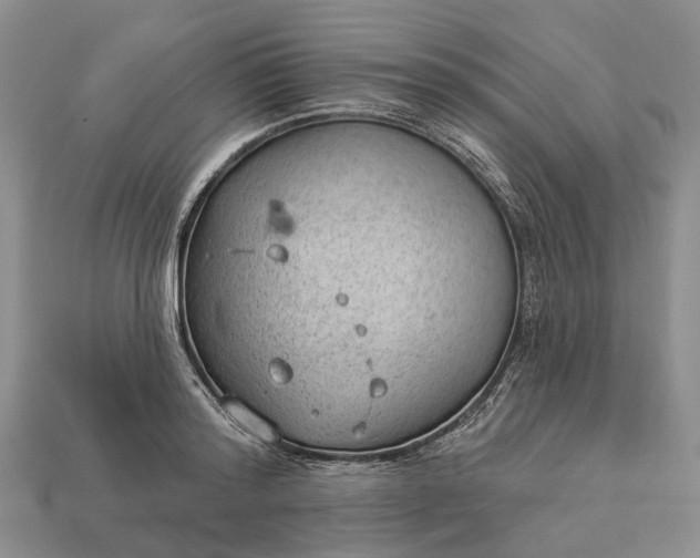 X0000112980796200909101713