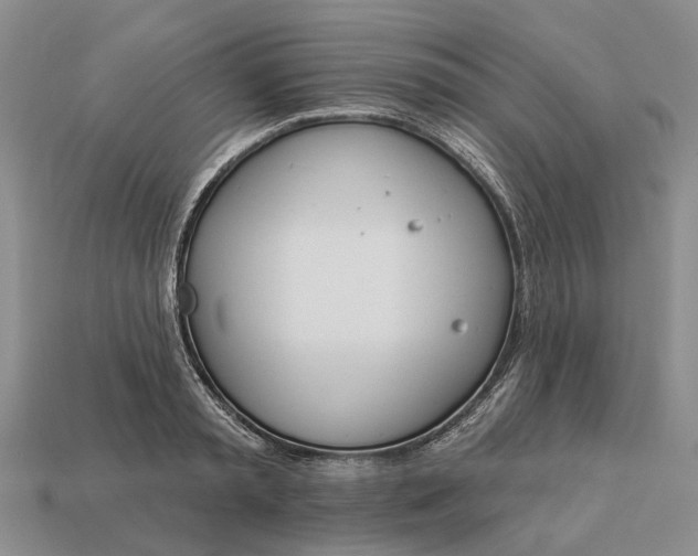 X0000112980797200909101713