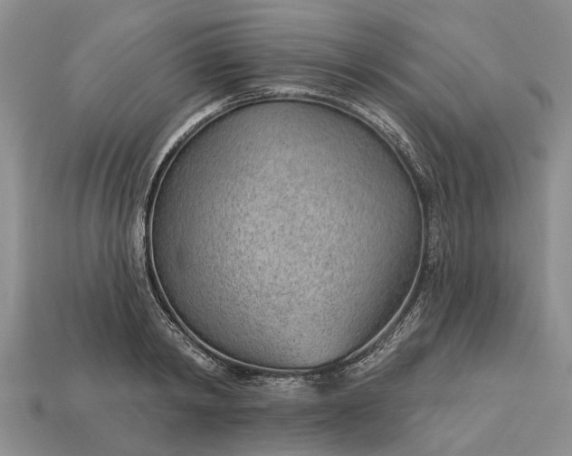 X0000112980798200909101713