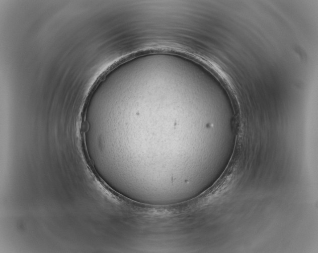 X0000112980799200909101713