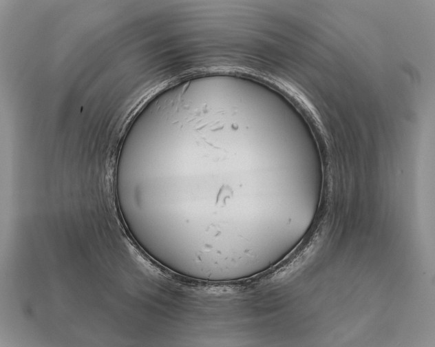 X0000112980801200909101713